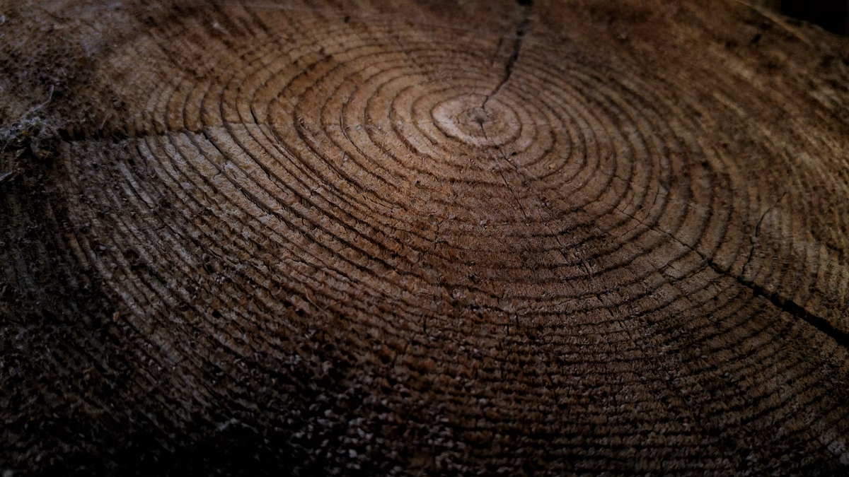 The 12 Hallmarks of Ageing: The Science Behind Feeling Older