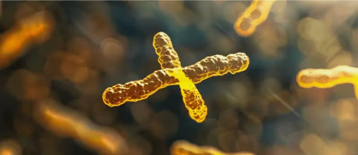 Altered Intercellular Communication